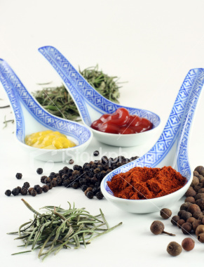 ist2_3209855_spices_and_condiments.jpg